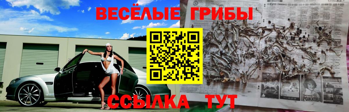 Галлюциногенные грибы MAGIC MUSHROOMS Верхний Уфалей